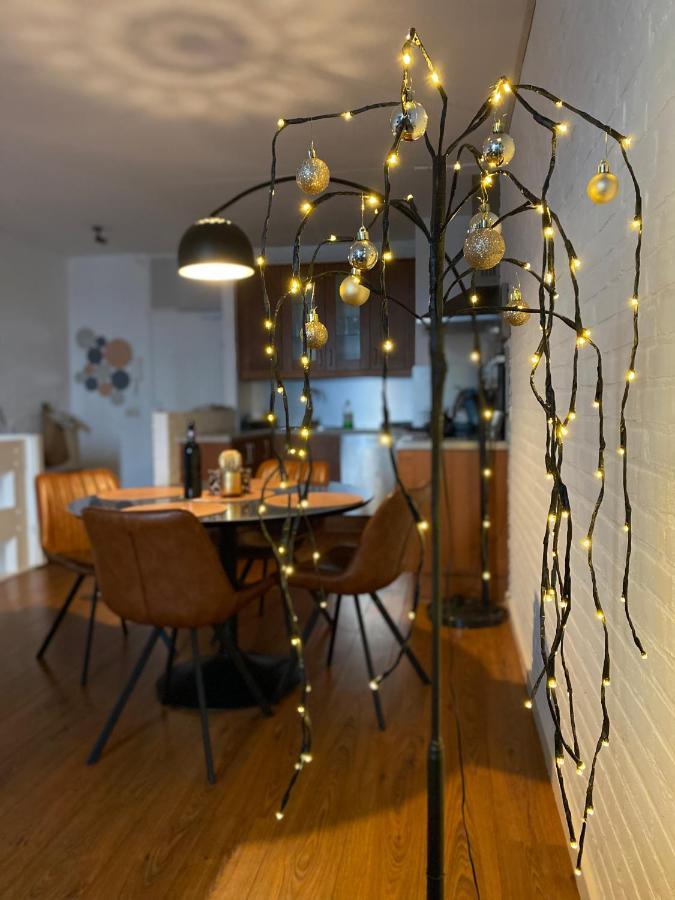 Ijsvogel Apartment, Duplex Family Home 4-Bed Located On The Largest Saltwater Lake Bruinisse Extérieur photo